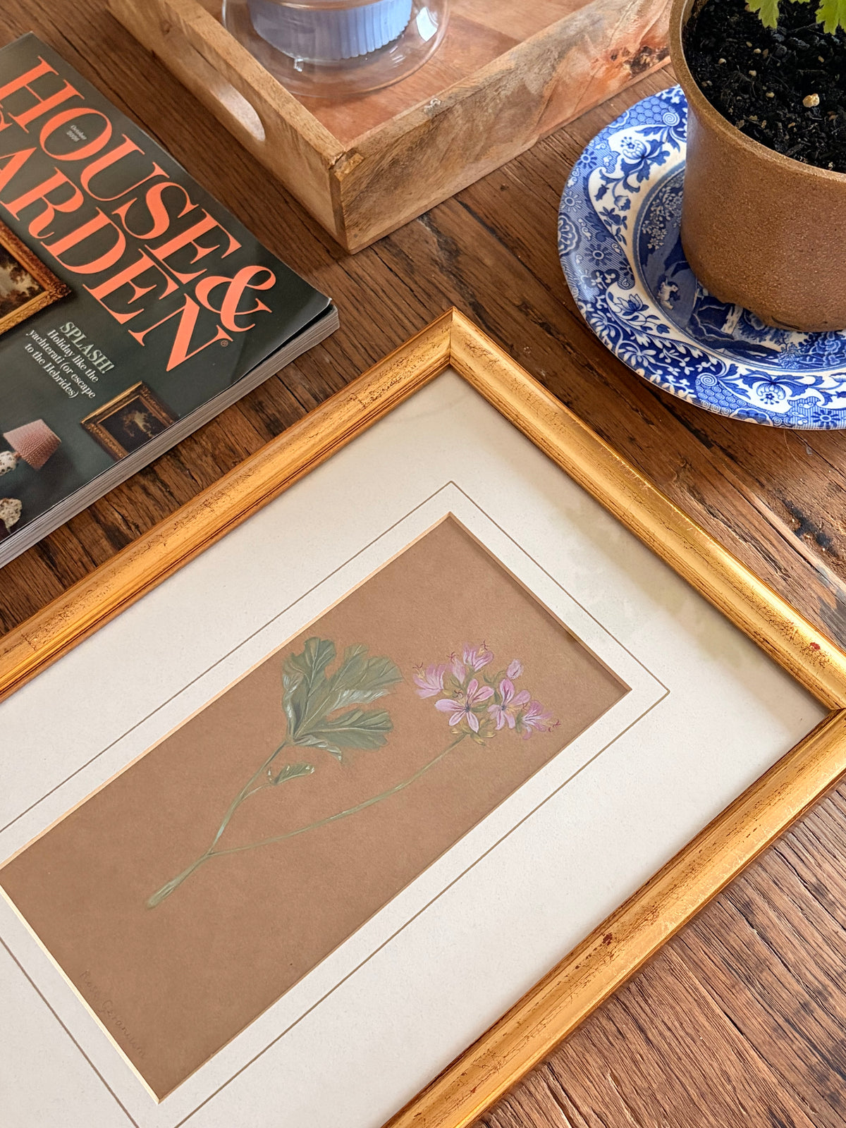 Framed Original Painting: ‘Rose’ Geranium