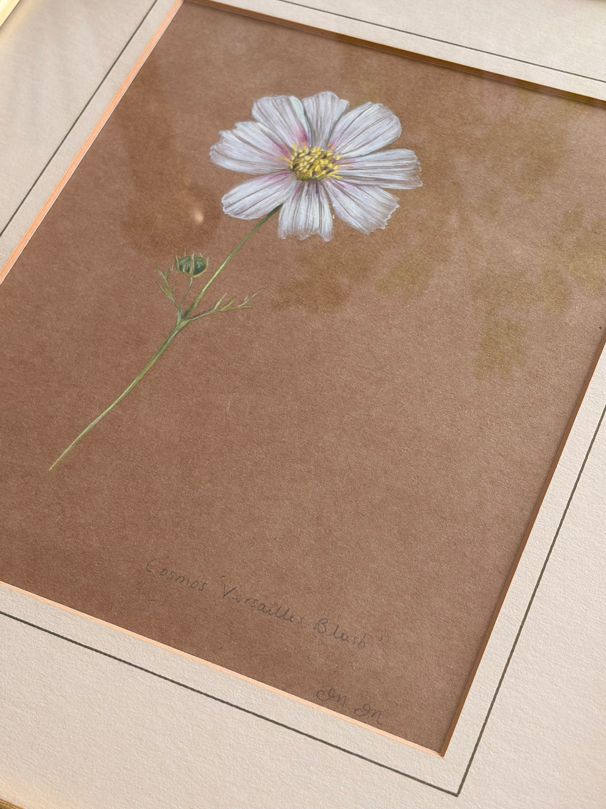 Framed Original Painting: ‘Versailles Blush’ Cosmos