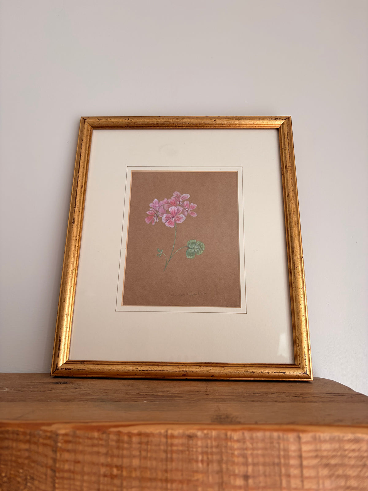 Framed Original Painting: ‘Horizon Apple Blossom’ Geranium