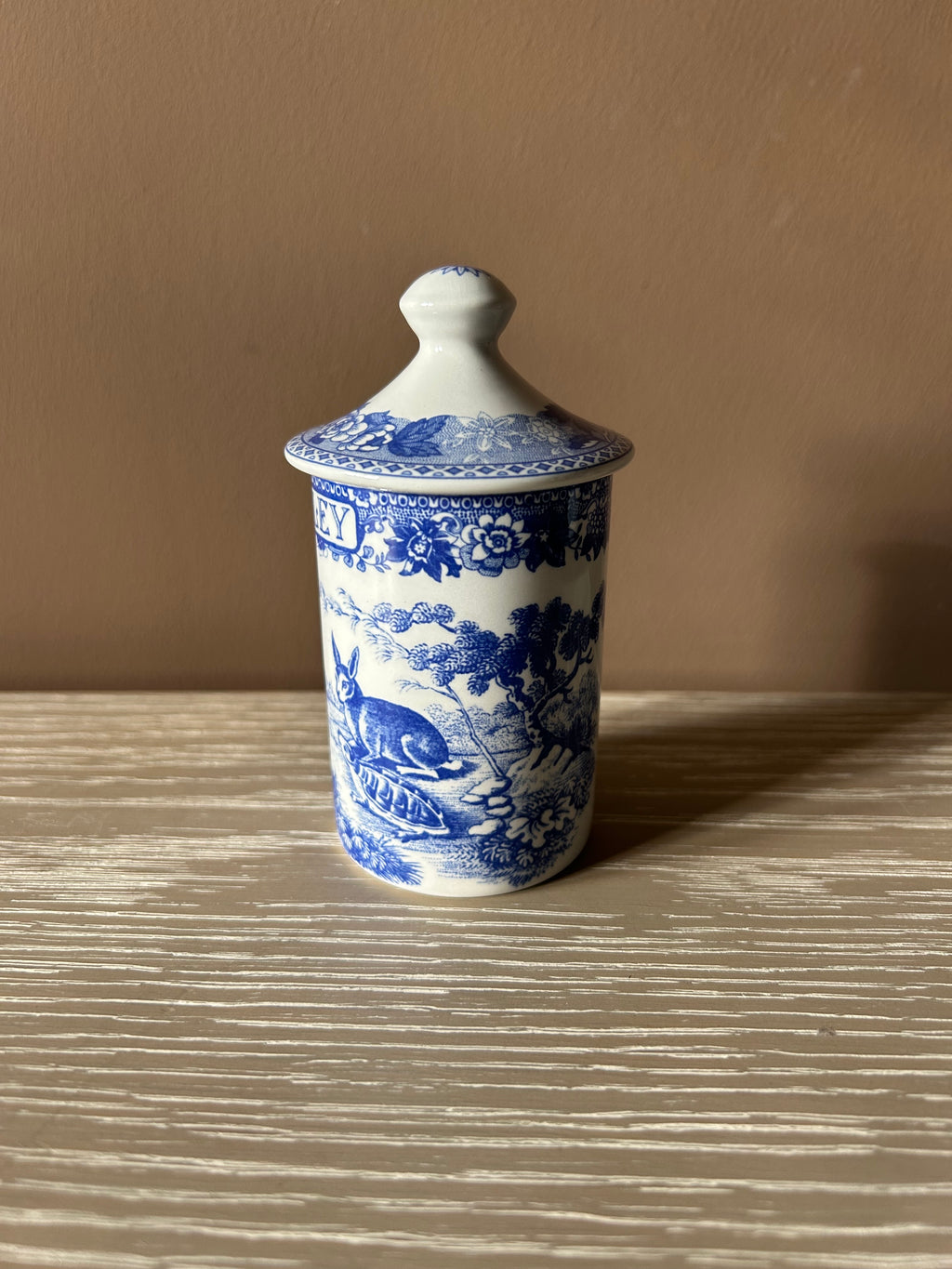 Vintage Spode Blue Room Collection "Parsley" Spice Jar – Aesop's Fables Pattern, Made in England