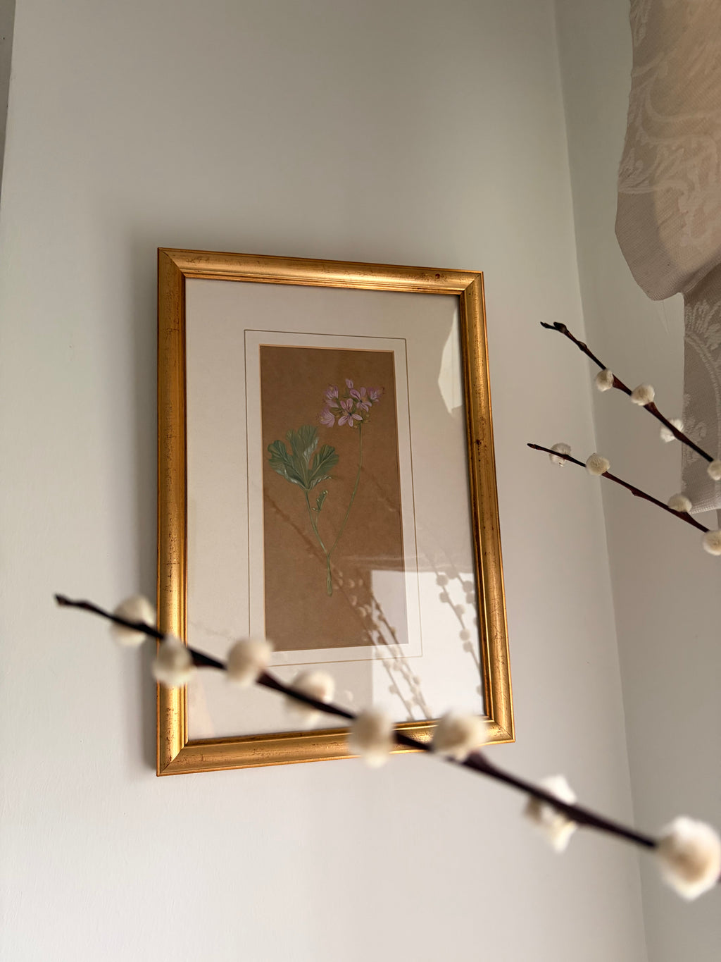Framed Original Painting: ‘Rose’ Geranium