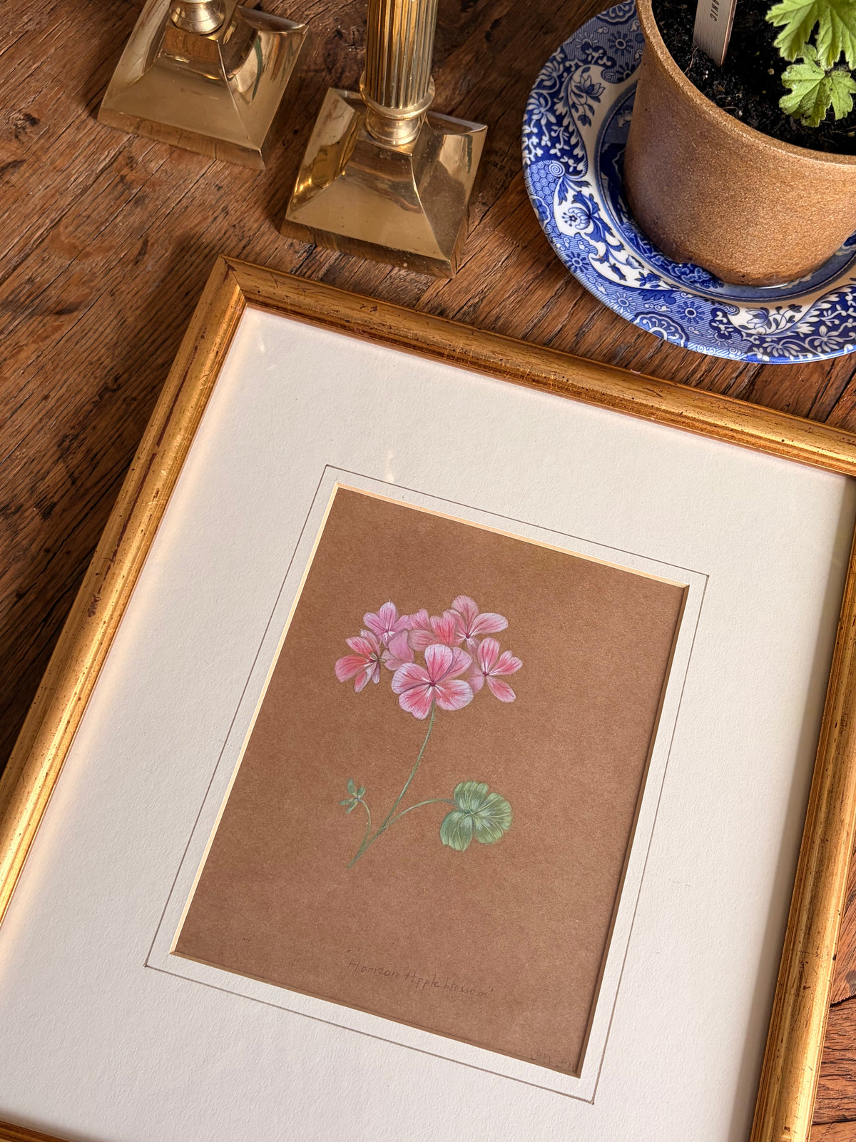 Framed Original Painting: ‘Horizon Apple Blossom’ Geranium