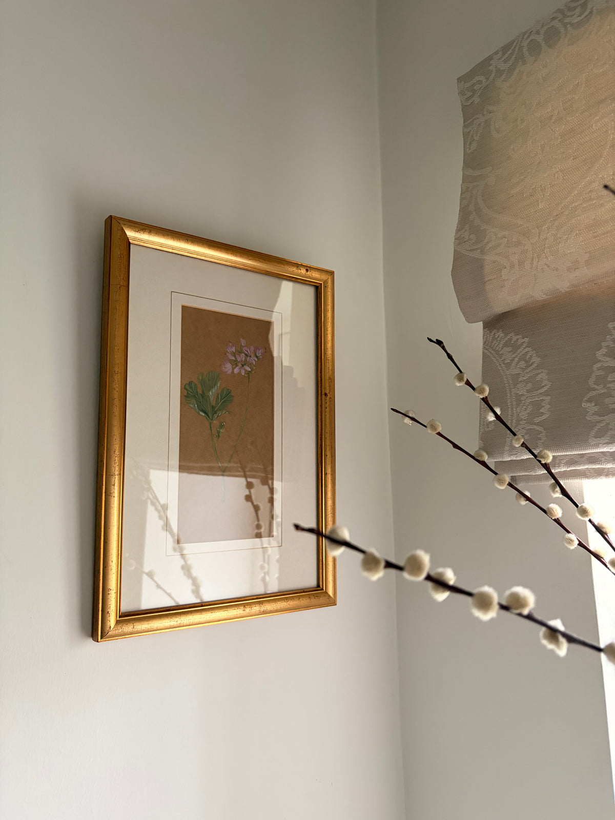 Framed Original Painting: ‘Rose’ Geranium