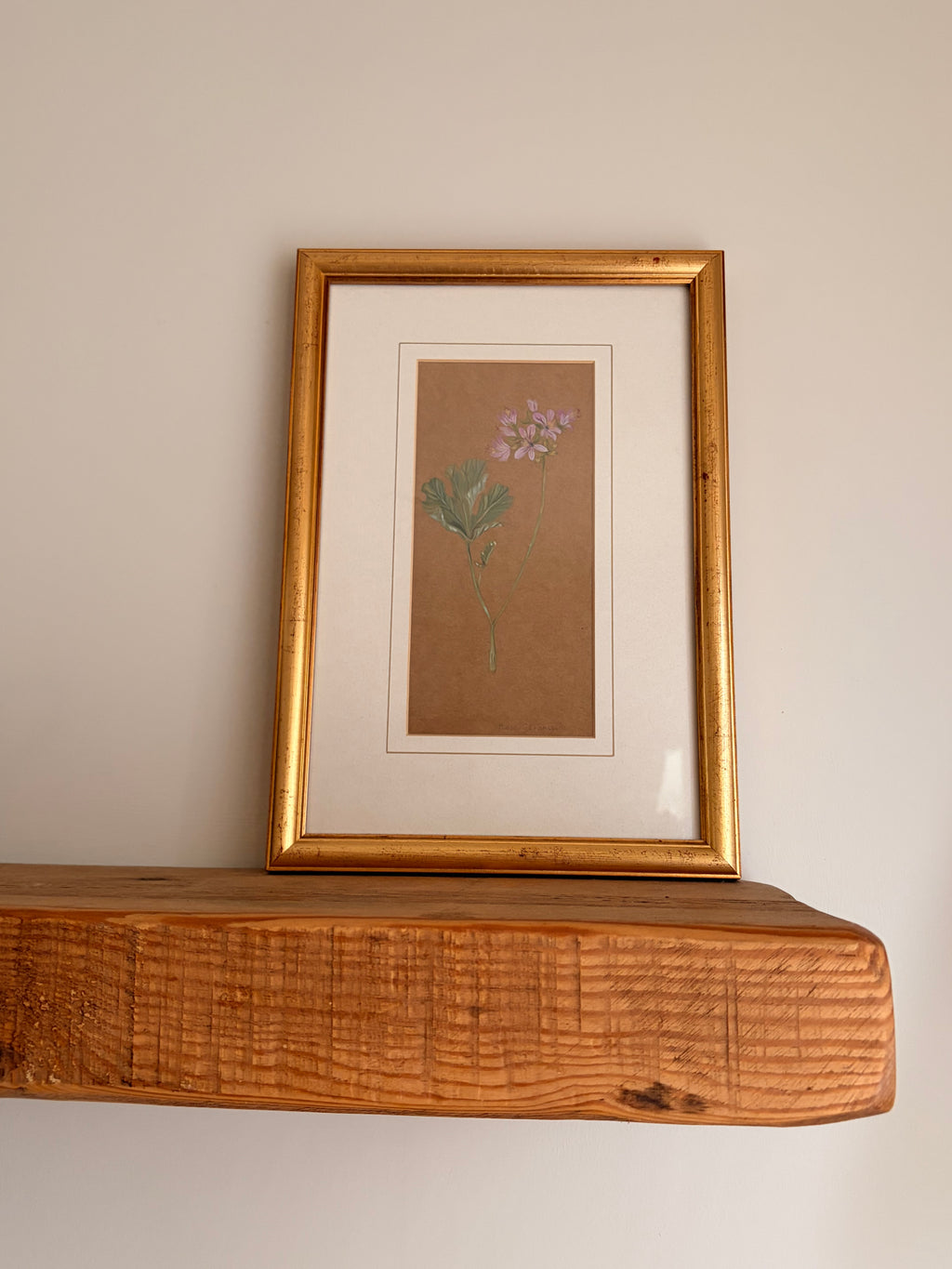 Framed Original Painting: ‘Rose’ Geranium