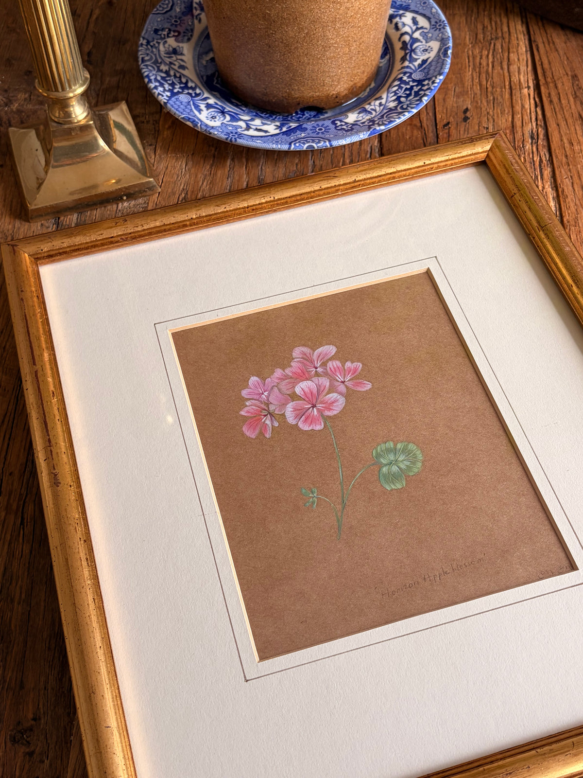 Framed Original Painting: ‘Horizon Apple Blossom’ Geranium