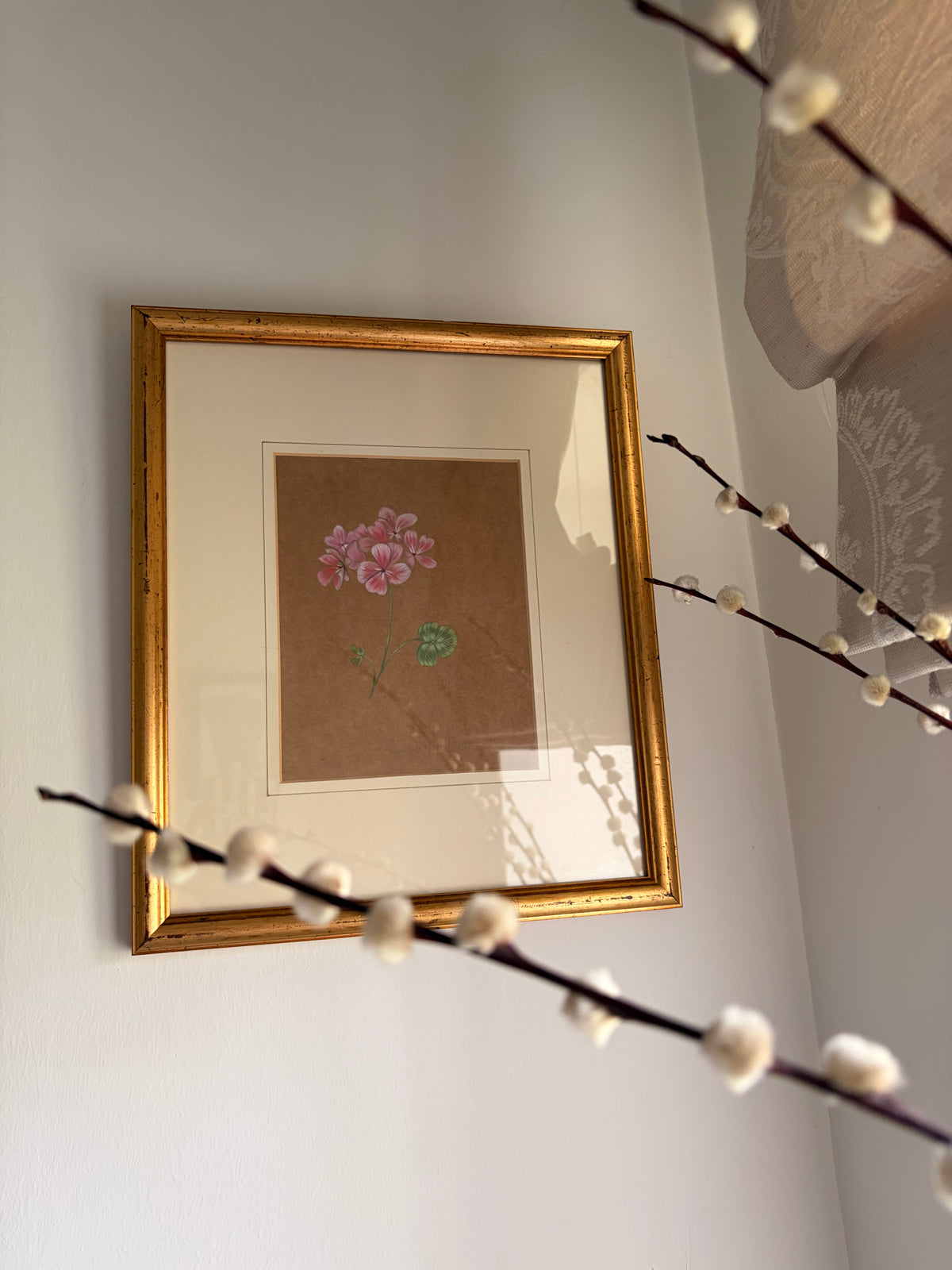 Framed Original Painting: ‘Horizon Apple Blossom’ Geranium