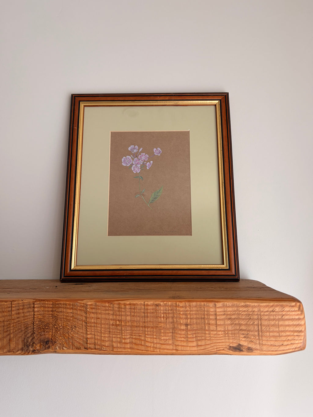 Framed Original Painting: ‘Paniculata’ Phlox