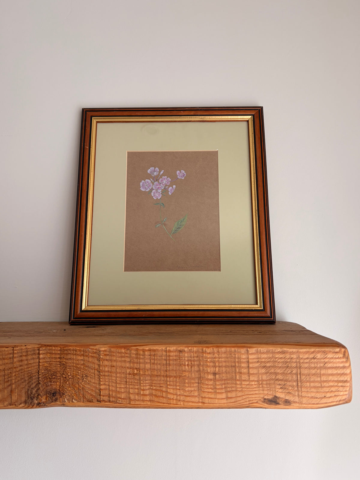 Framed Original Painting: ‘Paniculata’ Phlox