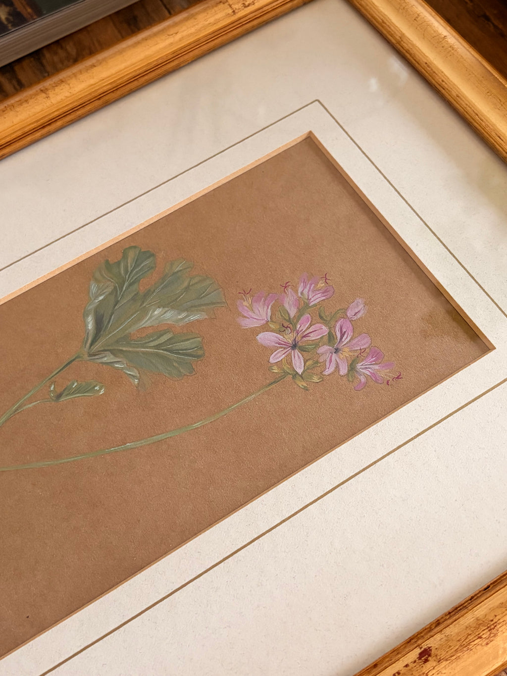 Framed Original Painting: ‘Rose’ Geranium
