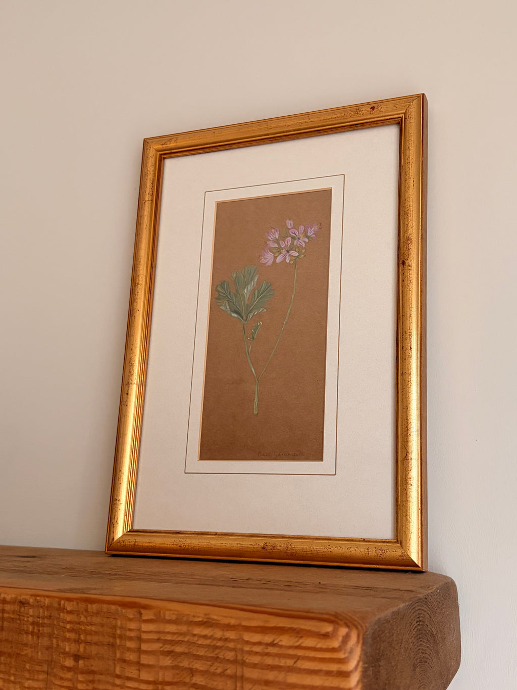 Framed Original Painting: ‘Rose’ Geranium