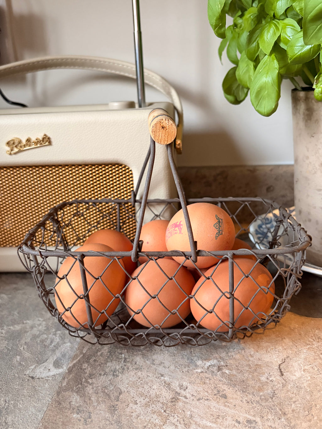 Small Wire Basket