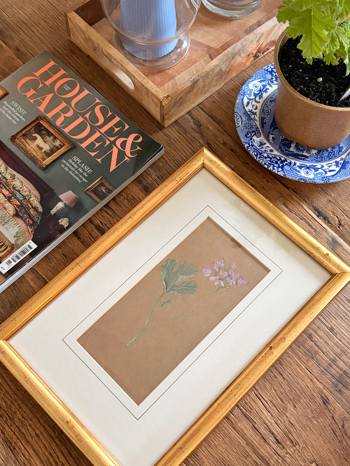 Framed Original Painting: ‘Rose’ Geranium