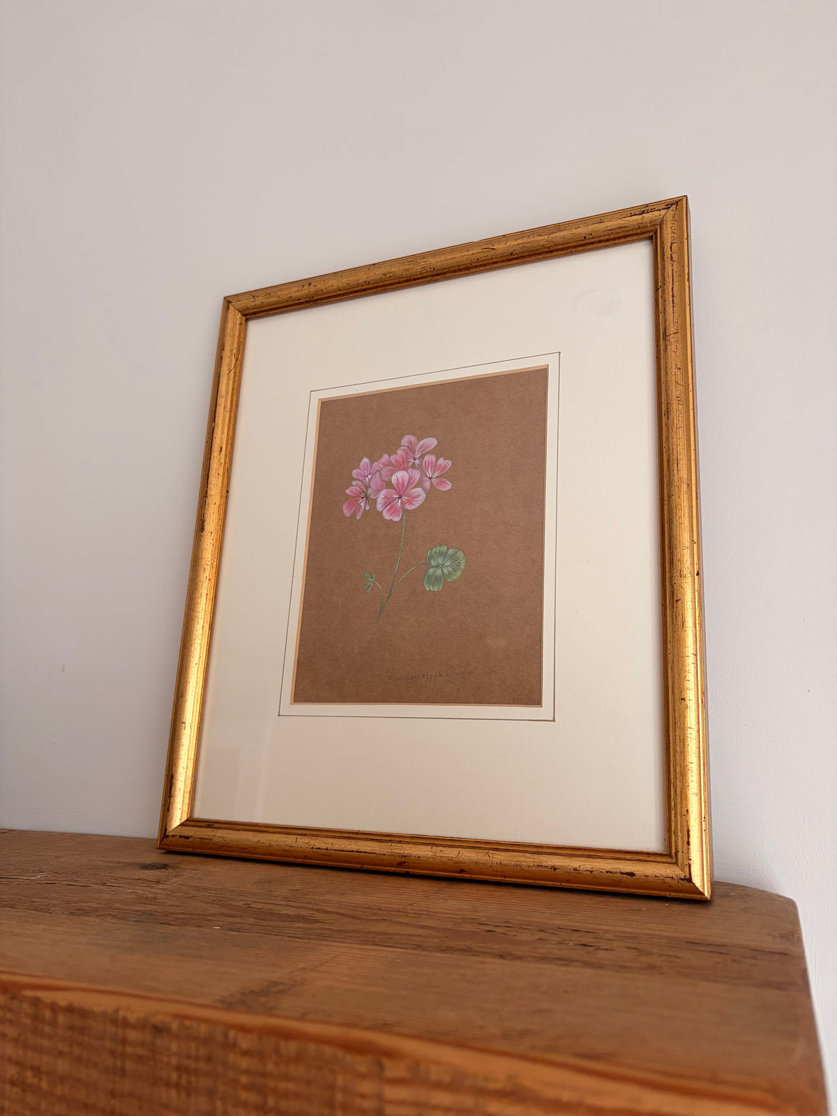 Framed Original Painting: ‘Horizon Apple Blossom’ Geranium