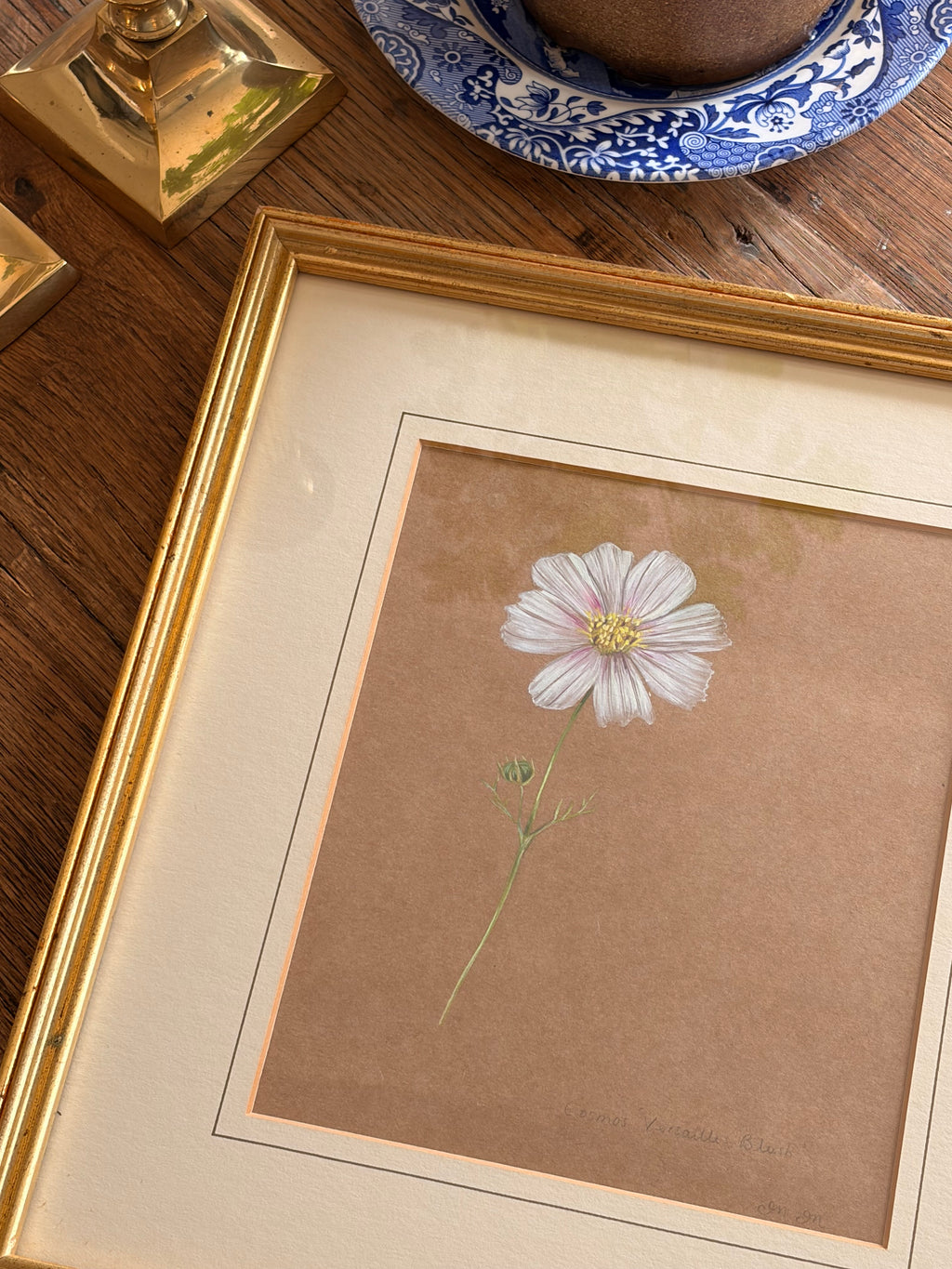 Framed Original Painting: ‘Versailles Blush’ Cosmos