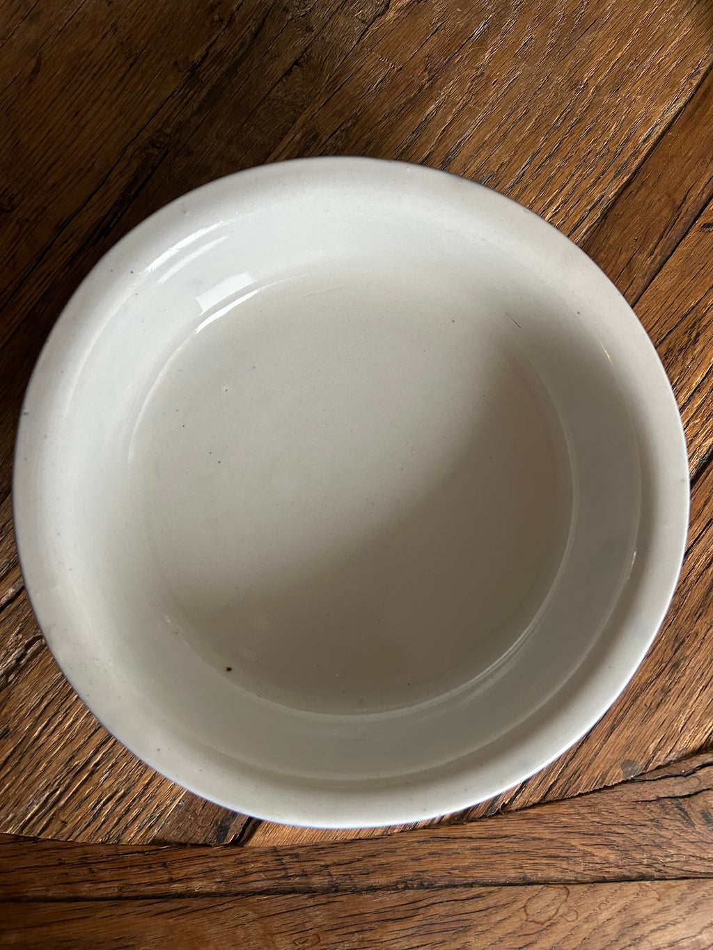 Mid Century Ceramic Dog Bowl vI