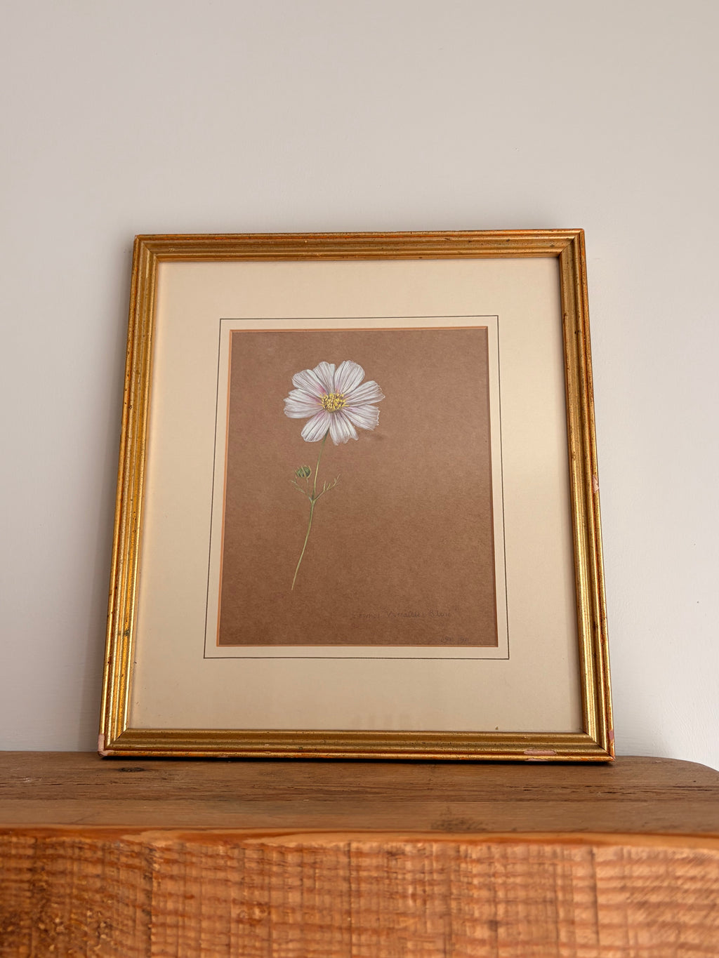 Framed Original Painting: ‘Versailles Blush’ Cosmos