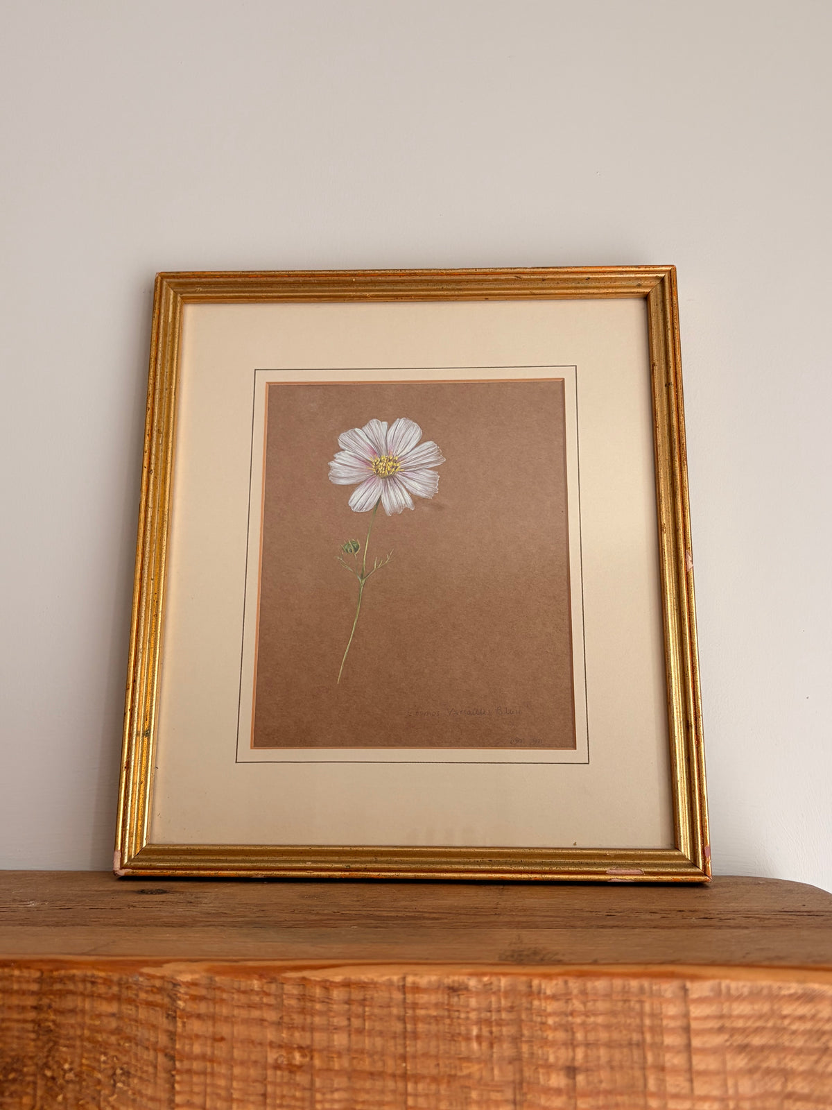 Framed Original Painting: ‘Versailles Blush’ Cosmos