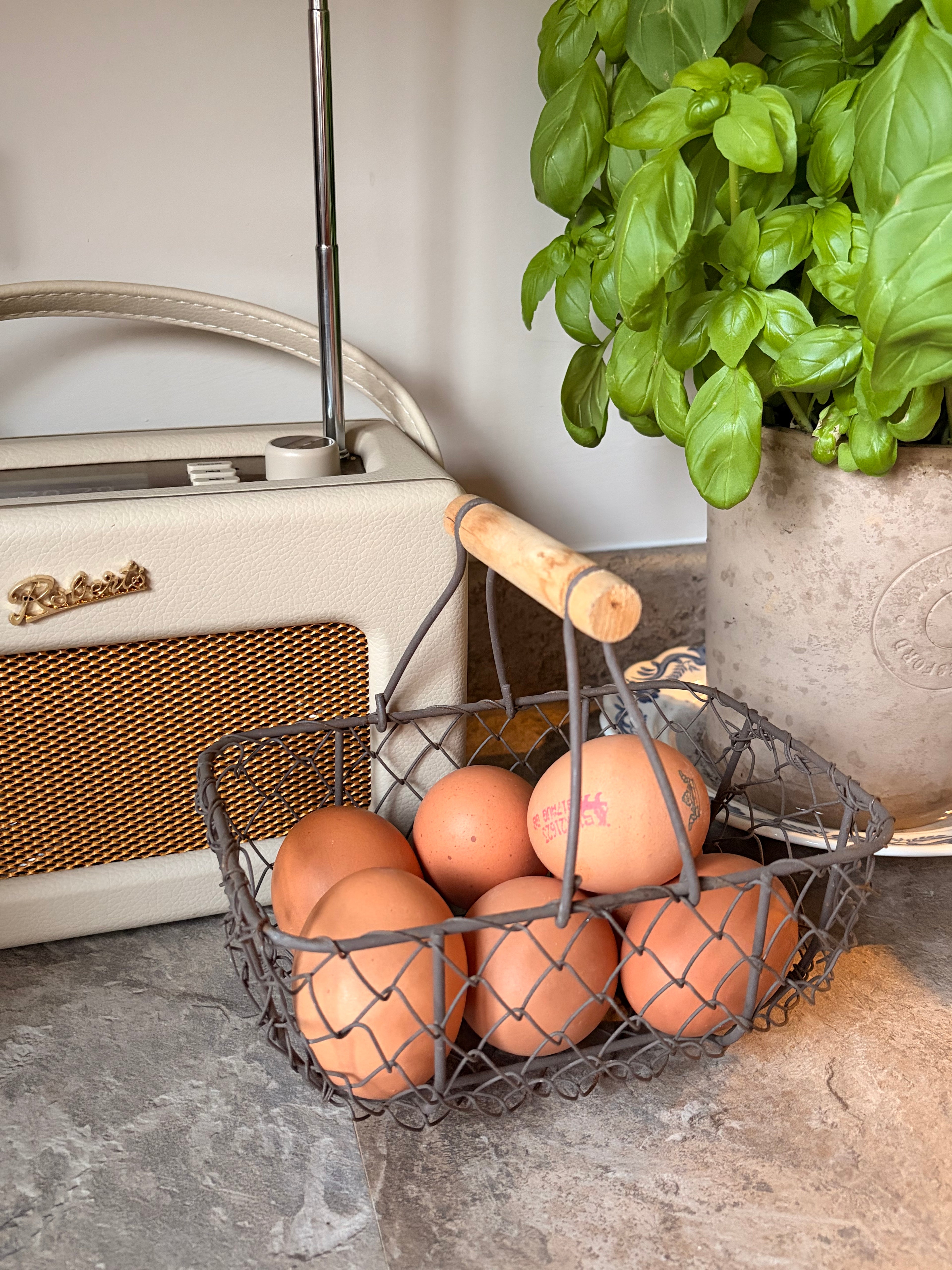 Small Wire Basket