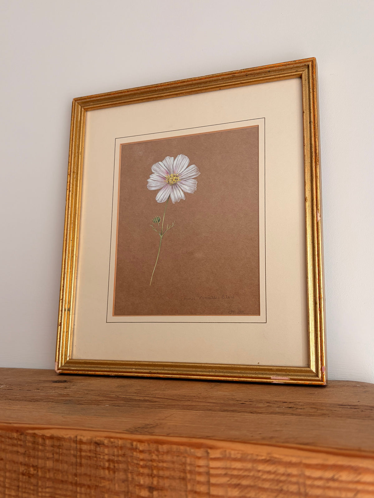 Framed Original Painting: ‘Versailles Blush’ Cosmos