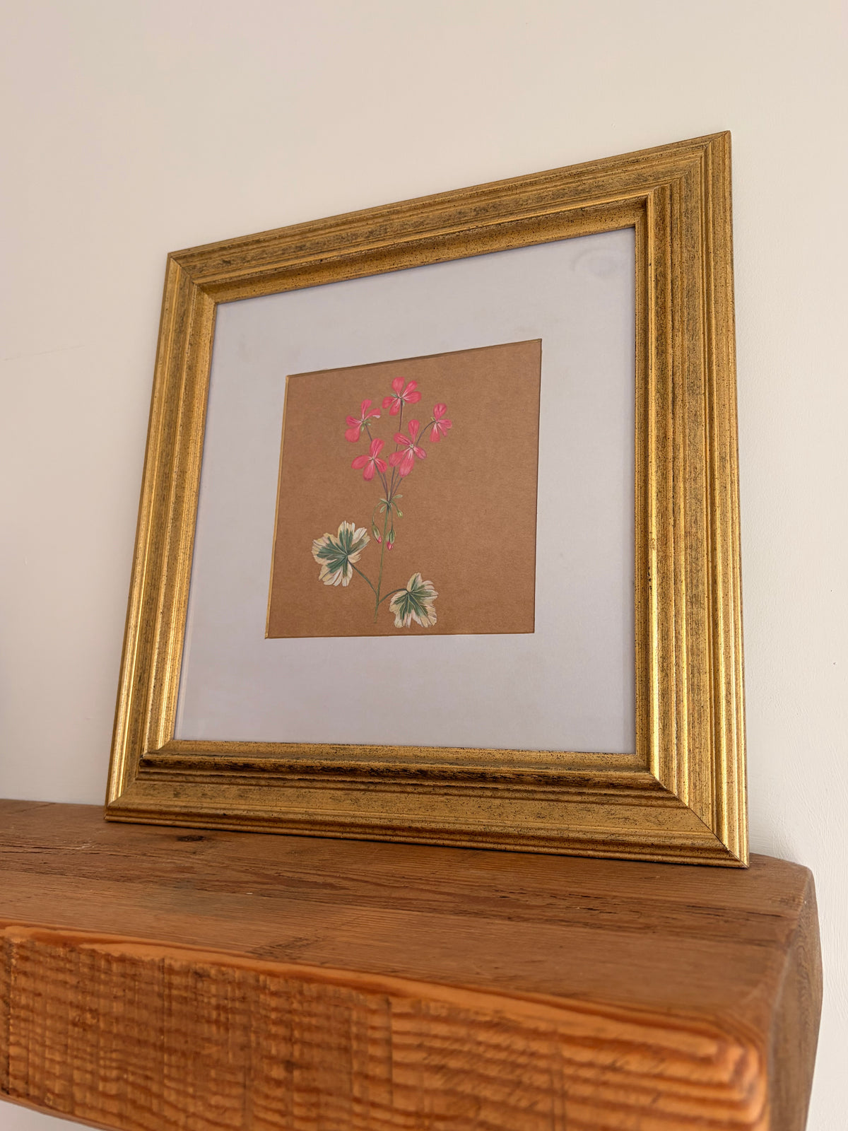 Framed Original Painting: ‘Frank Headley’ Geranium