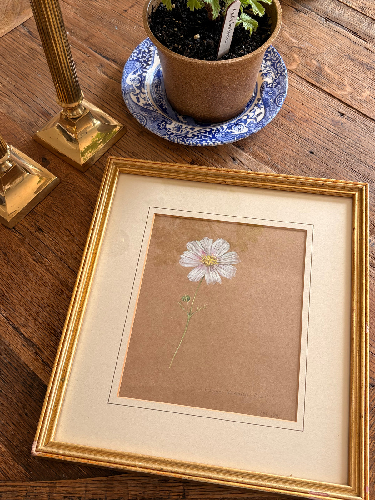 Framed Original Painting: ‘Versailles Blush’ Cosmos