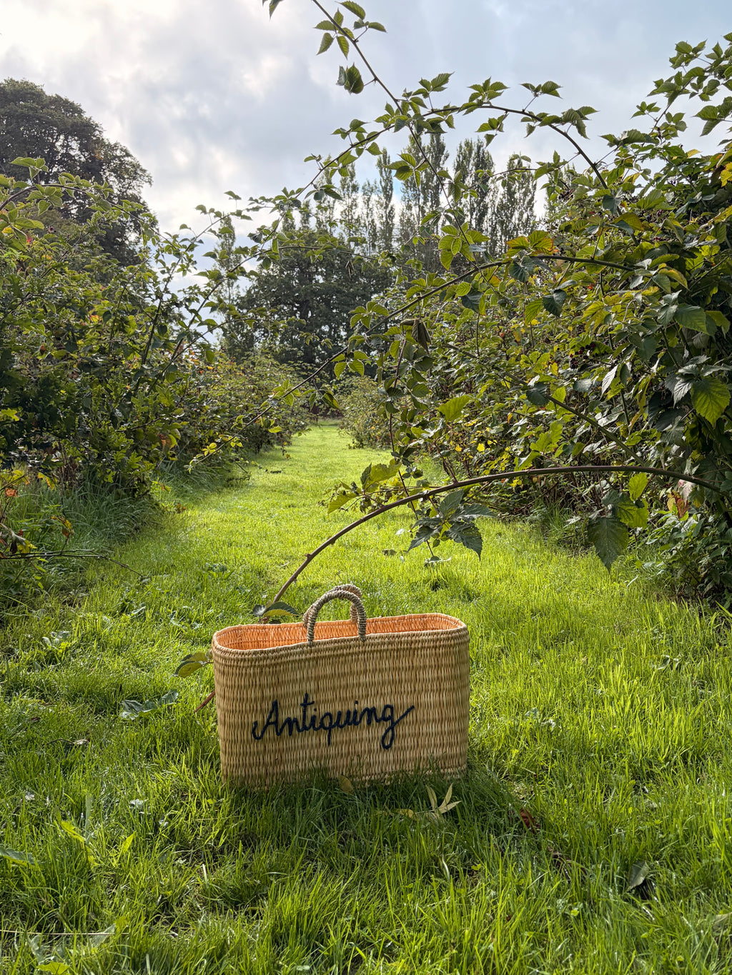 Large ‘Antiquing’ Rectangular Signature Tote