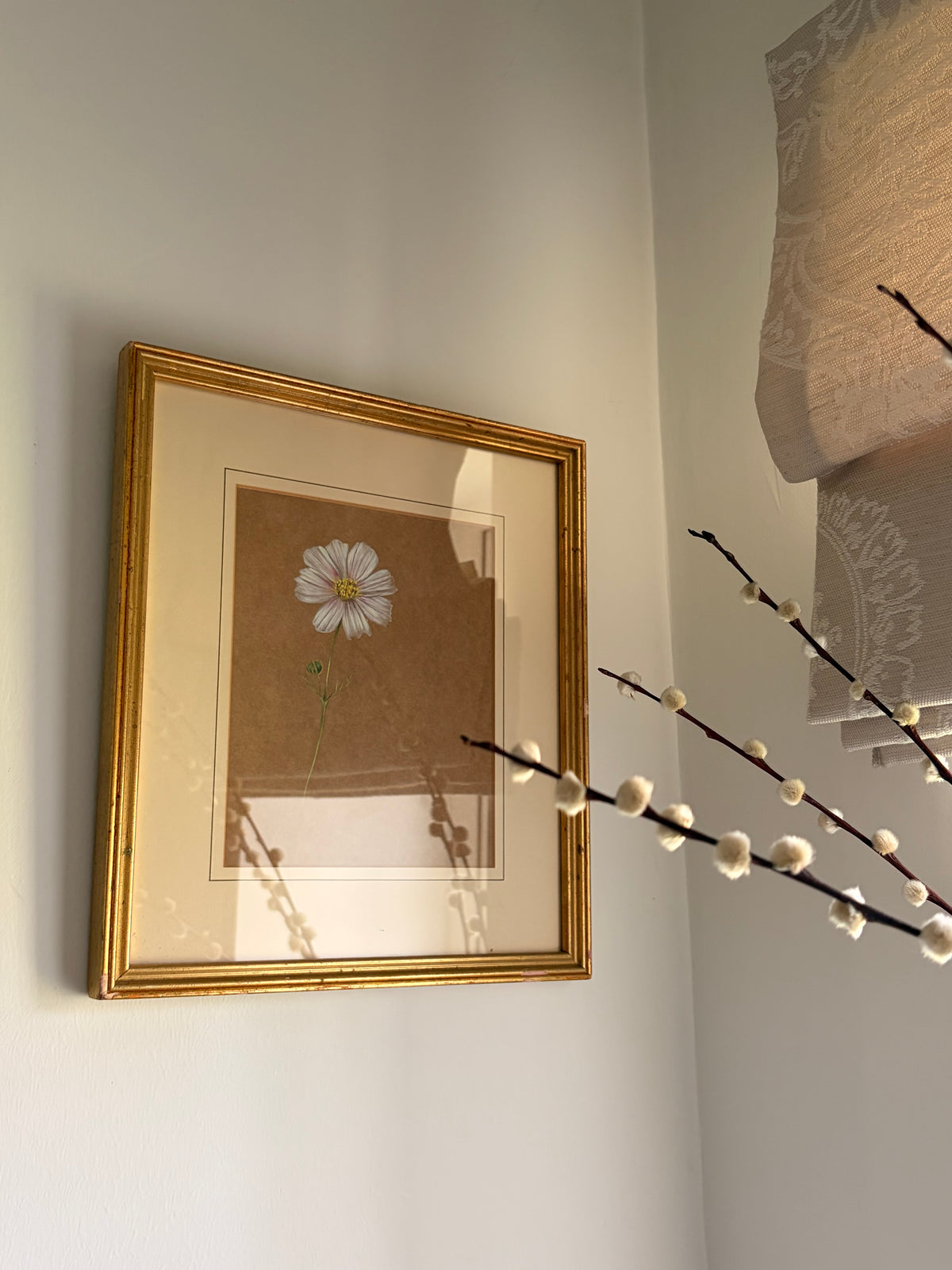 Framed Original Painting: ‘Versailles Blush’ Cosmos