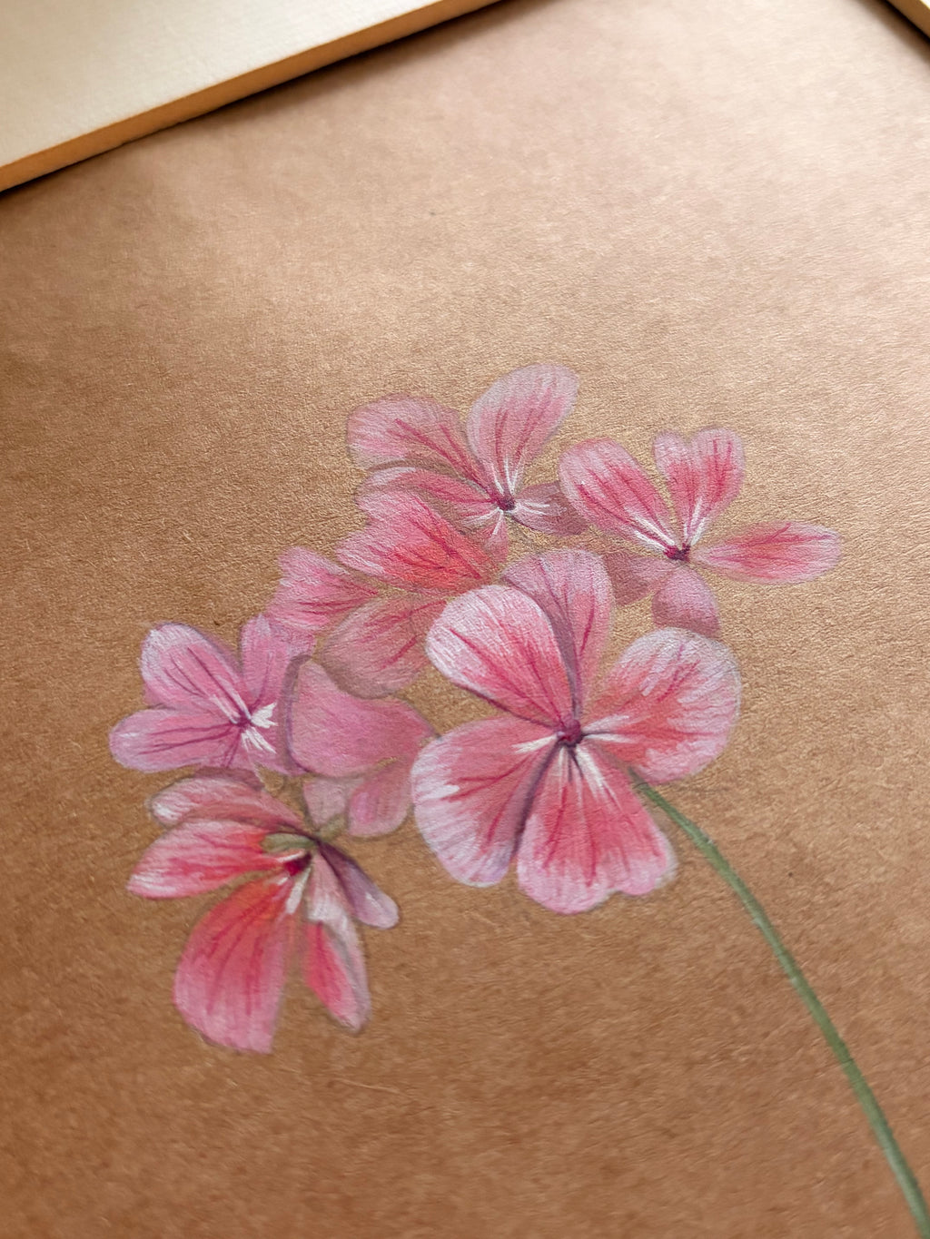 Framed Original Painting: ‘Horizon Apple Blossom’ Geranium