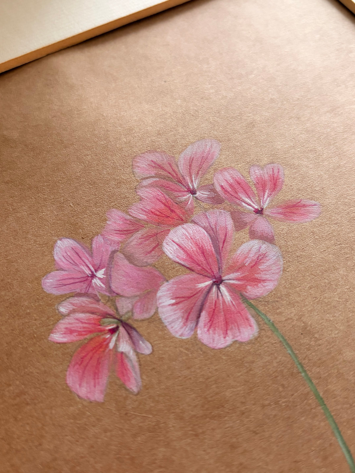 Framed Original Painting: ‘Horizon Apple Blossom’ Geranium