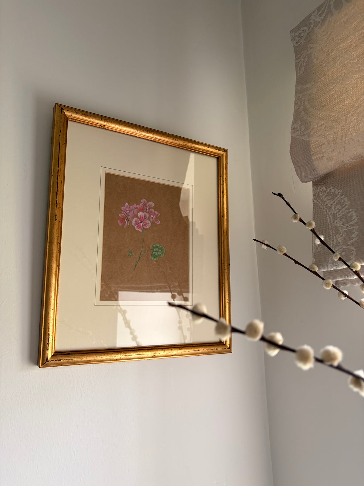 Framed Original Painting: ‘Horizon Apple Blossom’ Geranium