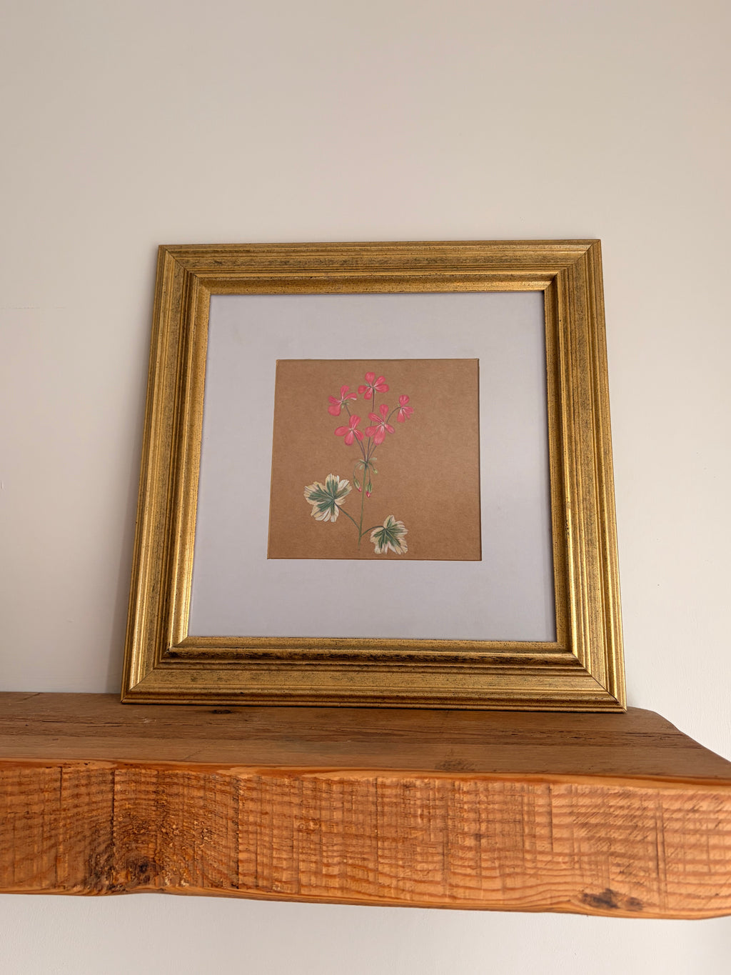 Framed Original Painting: ‘Frank Headley’ Geranium